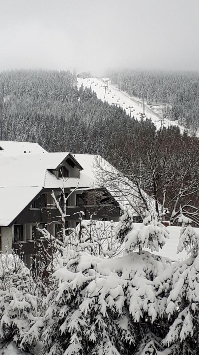 Ferienwohnung Steffens Hahnenklee Wohnung 25 Гослар Экстерьер фото
