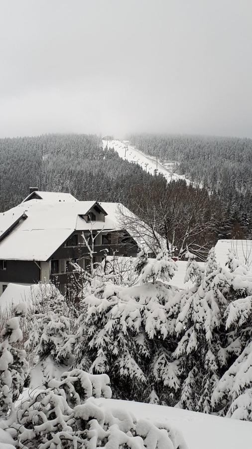 Ferienwohnung Steffens Hahnenklee Wohnung 25 Гослар Экстерьер фото