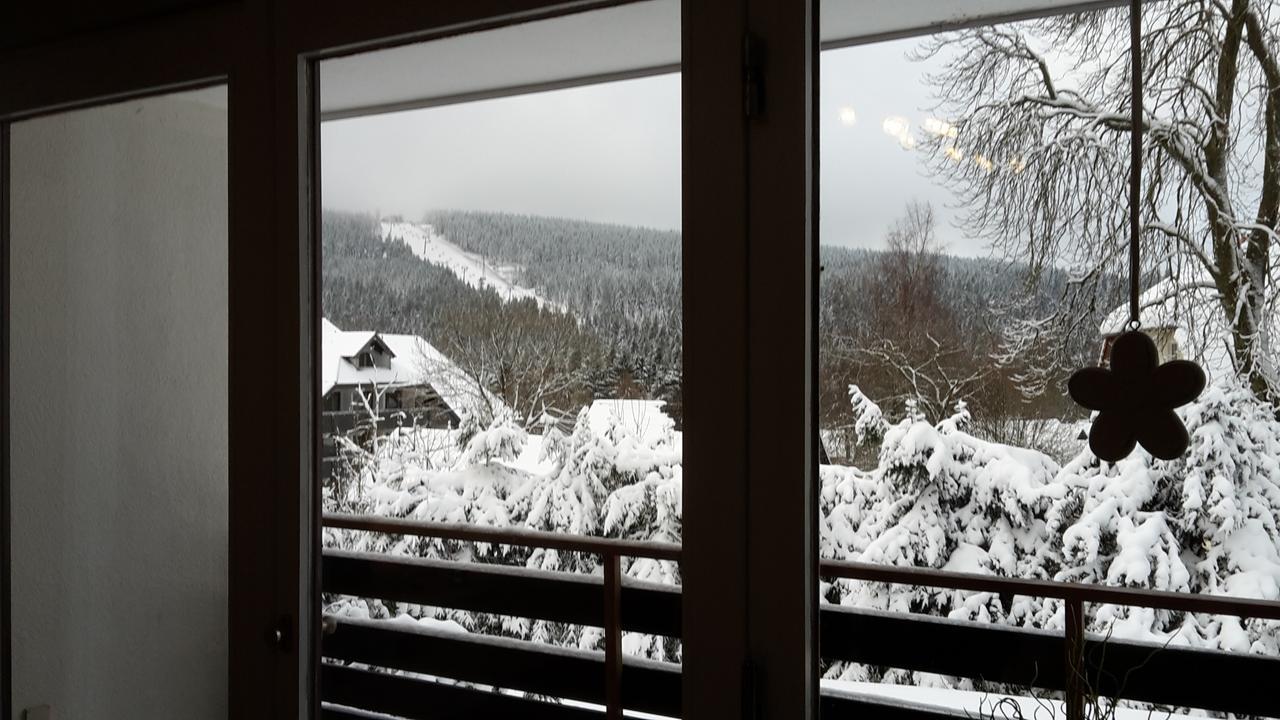 Ferienwohnung Steffens Hahnenklee Wohnung 25 Гослар Экстерьер фото